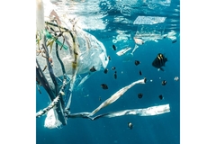 Image Plastic waste in the ocean.